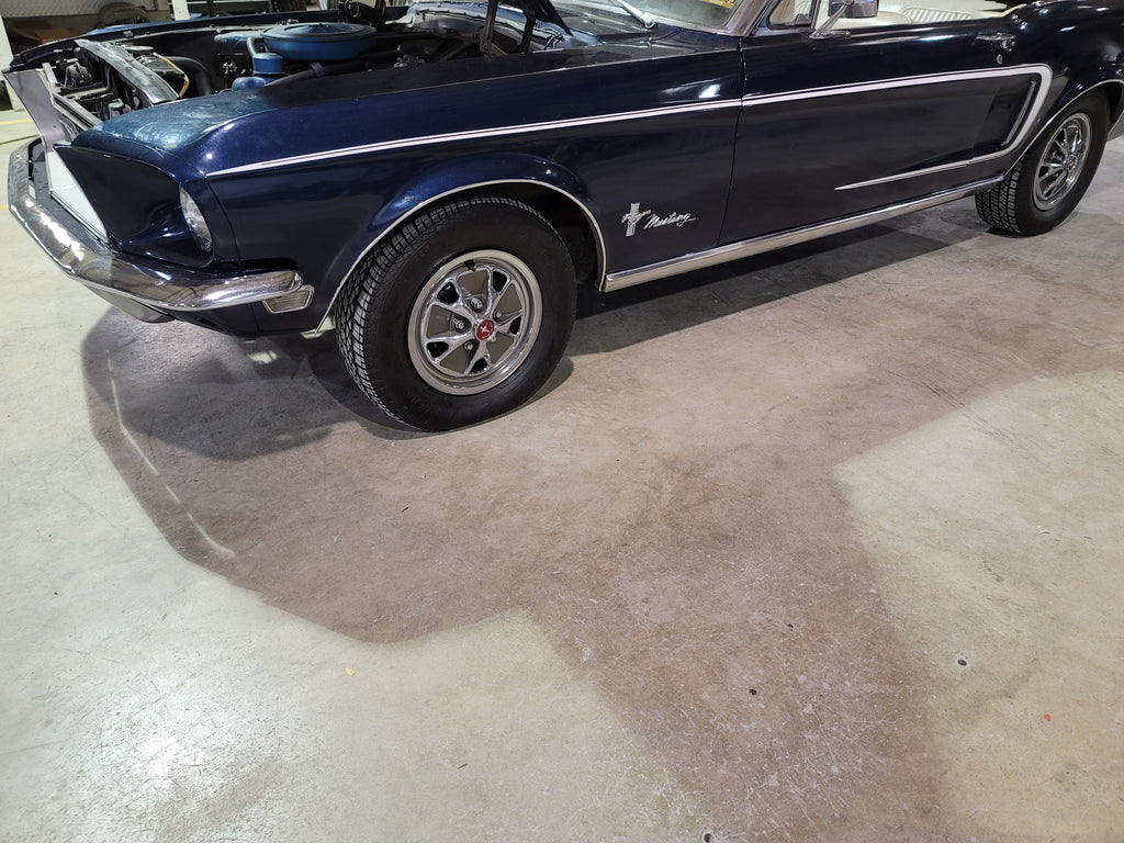 G Family 1968 Mustang